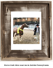 horse trail rides near me in Antrim, Pennsylvania